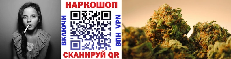 A PVP Кандалакша