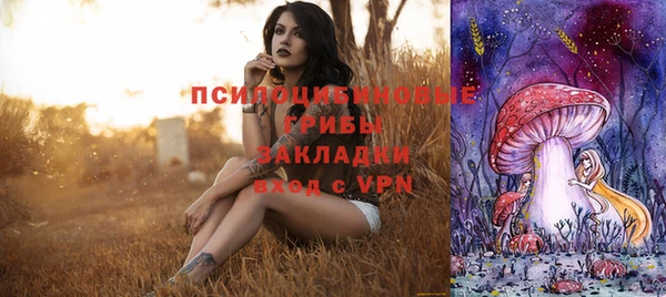 ALPHA PVP Алексеевка
