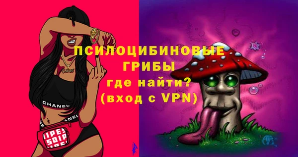 стафф Абаза