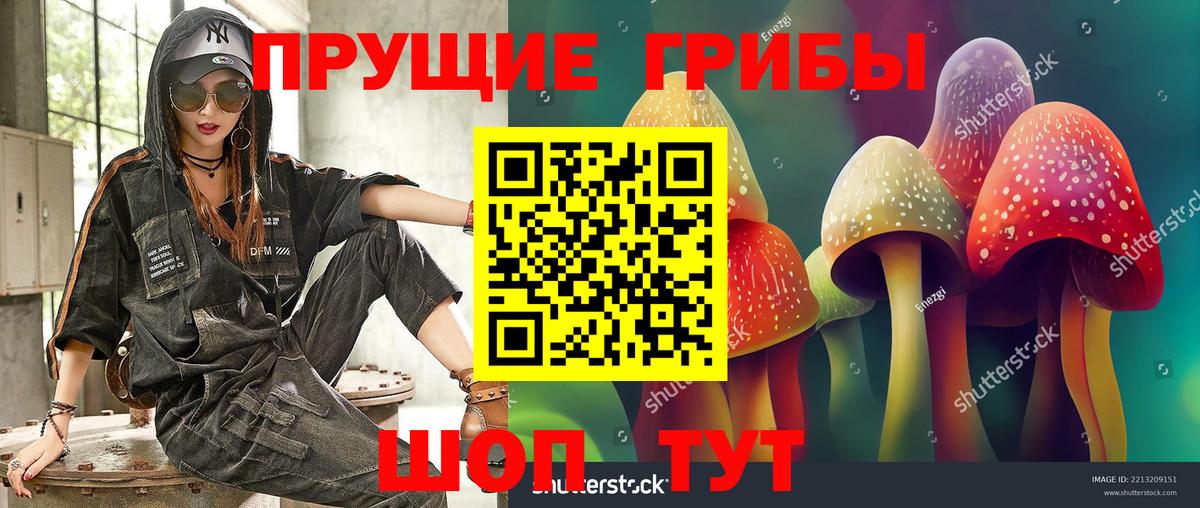 Галлюциногенные грибы Psilocybe Кандалакша