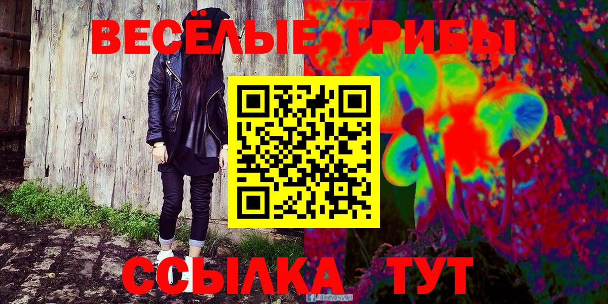 МЕТАДОН Кандалакша